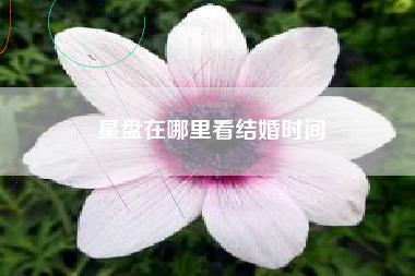 星盘在哪里看结婚时间