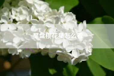 星盘桃花星怎么看