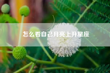 怎么看自己月亮上升星座