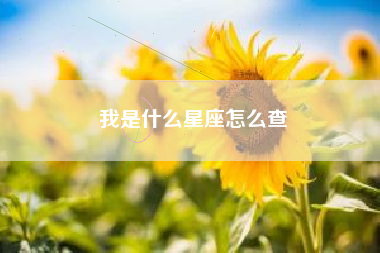 我是什么星座怎么查