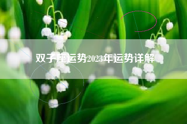 双子座运势2023年运势详解