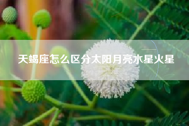 天蝎座怎么区分太阳月亮水星火星