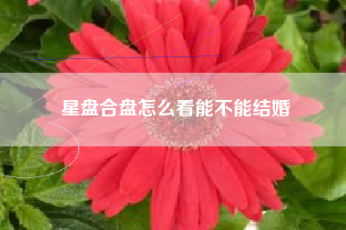 星盘合盘怎么看能不能结婚