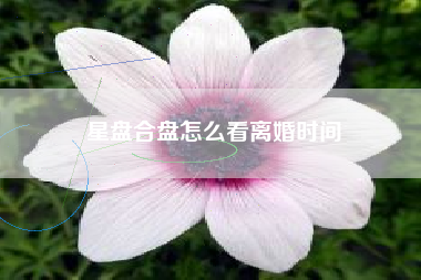 星盘合盘怎么看离婚时间