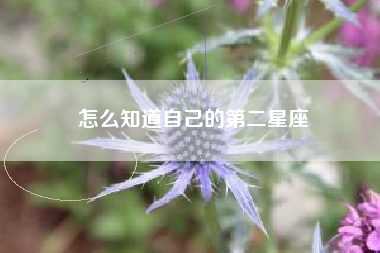 怎么知道自己的第二星座