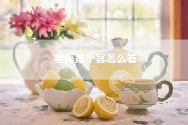 星座第十宫怎么看