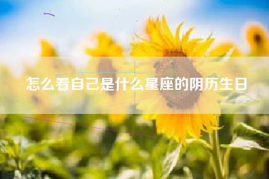 怎么看自己是什么星座的阴历生日