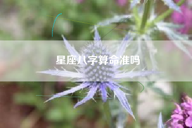 星座八字算命准吗