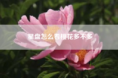 星盘怎么看桃花多不多