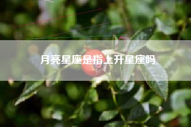 月亮星座是指上升星座吗