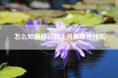 怎么知道自己的上升星座是什么