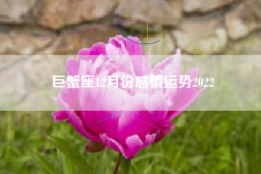 巨蟹座12月份感情运势2022