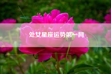 处女星座运势第一网