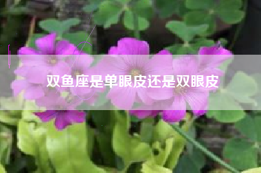 双鱼座是单眼皮还是双眼皮