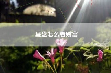 星盘怎么看财富