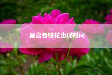 星盘看桃花出现时间