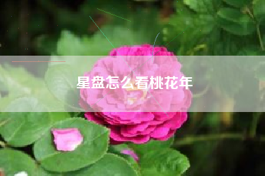 星盘怎么看桃花年