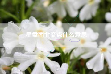 星盘南北交点什么意思