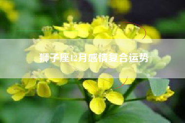 狮子座12月感情复合运势