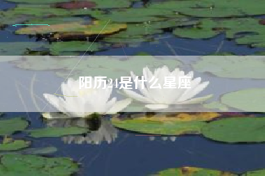 阳历24是什么星座