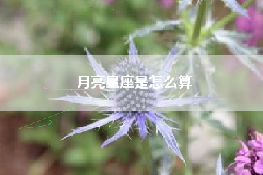 月亮星座是怎么算