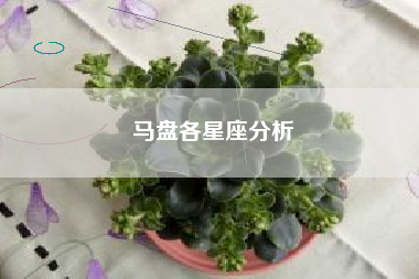 马盘各星座分析