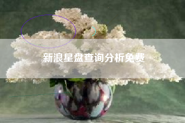 新浪星盘查询分析免费