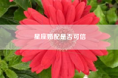 星座婚配是否可信