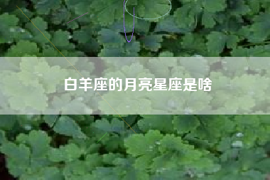 白羊座的月亮星座是啥