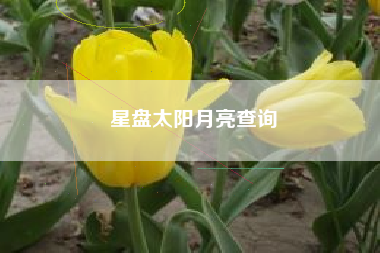 星盘太阳月亮查询