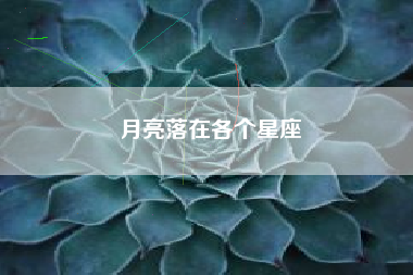 月亮落在各个星座