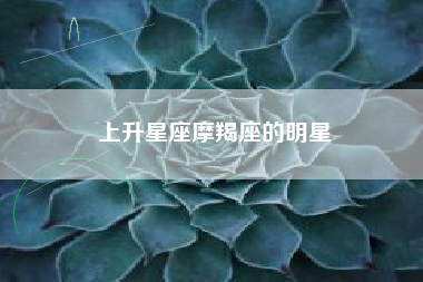 上升星座摩羯座的明星