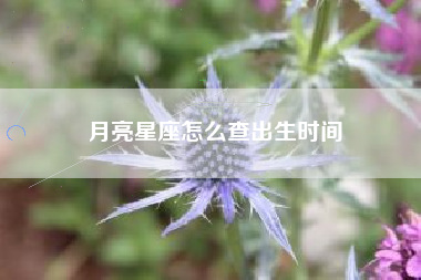 月亮星座怎么查出生时间