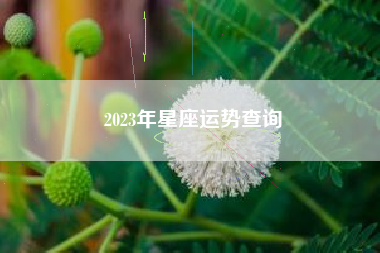 2023年星座运势查询