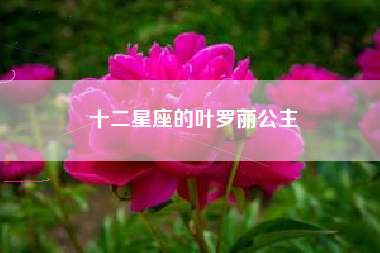 十二星座的叶罗丽公主