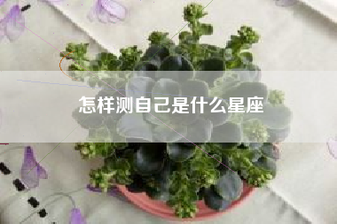 怎样测自己是什么星座