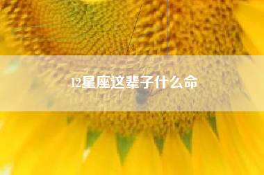 12星座这辈子什么命