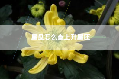 星盘怎么查上升星座