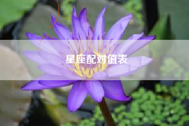 星座配对值表