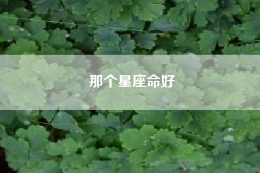 那个星座命好