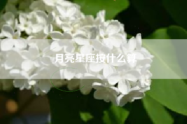 月亮星座按什么算