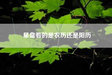 星盘看的是农历还是阳历