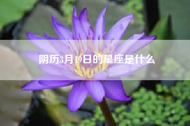 阴历3月19日的星座是什么