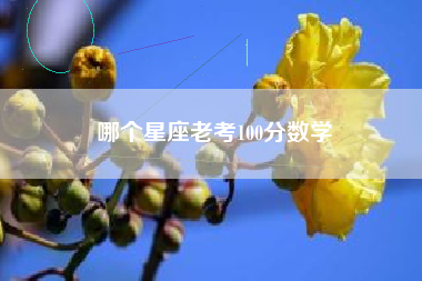 哪个星座老考100分数学