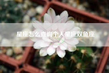 星座怎么查询个人星座双鱼座